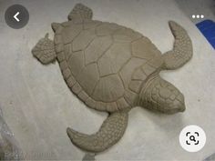 an image of a turtle made out of sand