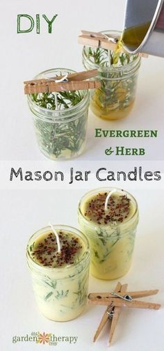 three mason jar candles with herbs in them and the words diy evergreen & herb mason jar candles