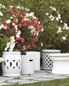 three white and red flower pots sitting next to each other on a stone walkway in front of shrubbery