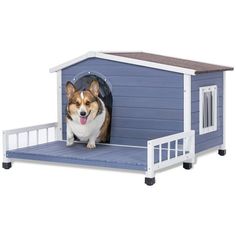 a dog is sticking its tongue out while sitting in a blue and white dog house