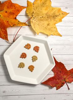 some leaves are laying next to a white plate with acorns in the middle