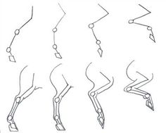 the steps to draw a horse's legs in different positions, including its tail and feet