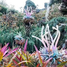 many different plants and trees on the side of a hill