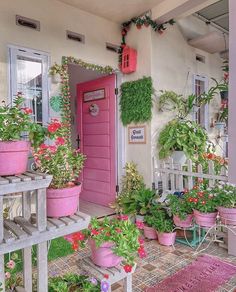 a pink door surrounded by potted plants