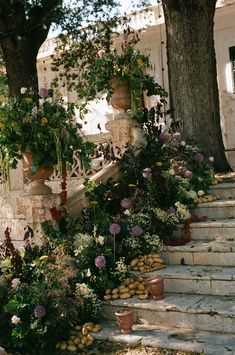 there are many potted plants on the steps