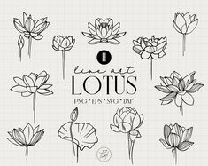 lotus flowers drawn in black and white with the words, i am not lotuss