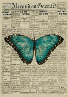 a blue butterfly sitting on top of an old newspaper