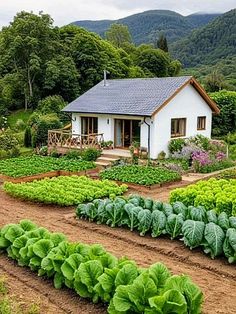 a small house surrounded by lots of green plants