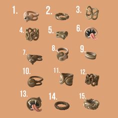 an illustrated guide to different types of rings and their names on a brown background with white numbers