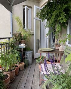 an outdoor patio with potted plants on it