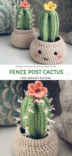 crocheted cactus pot holders with flowers on them are shown in three different views