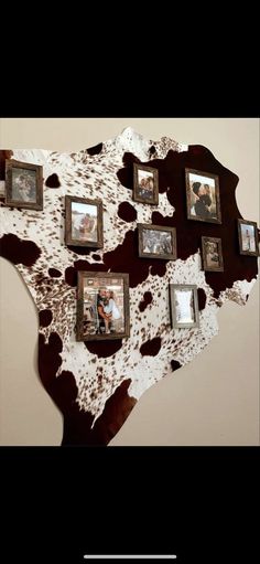 a cowhide wall hanging with many pictures on it