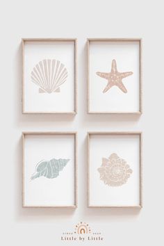 four seashells and starfish framed in wooden frames on a white wall with the words little by little written below them