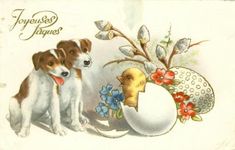 two puppies are looking at an egg with a duckling in it and another dog sitting next to it