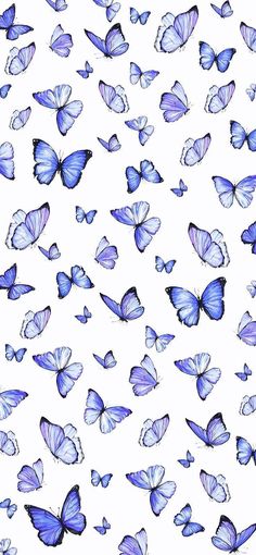 many blue butterflies flying in the air