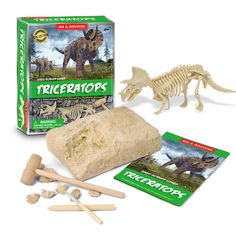 an assortment of toys including dinosaurs and bones