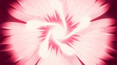 a pink and white flower is shown in the middle of an image with dark background