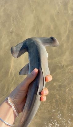 a person holding an object in their hand near the water's edge and sand