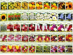 an image of many different types of flowers