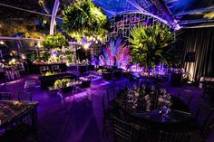 an indoor venue with tables and chairs lit up in purple lighting, surrounded by greenery