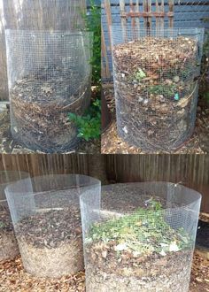 four pictures of different types of plants in plastic containers with mesh coverings on them