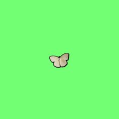 a small white butterfly on a green background