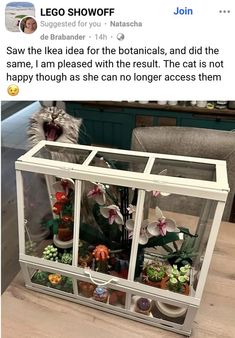 a glass case filled with fake flowers and plants