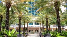 palm trees line the walkway in front of a large building with tall windows and lots of greenery