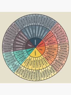 an image of a color wheel with words in the middle and numbers on each side