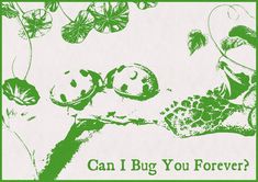 a green and white poster with the words can i bug you forever?