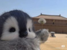 a stuffed animal holding a dandelion in front of a building