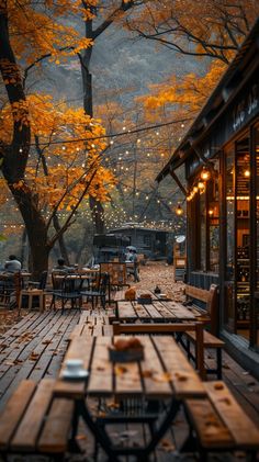 an outdoor restaurant with wooden tables and benches in the fall leaves on the treetops