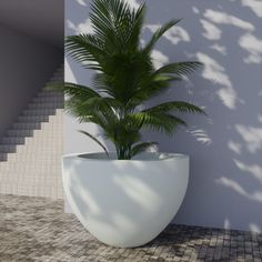 a potted plant sitting on top of a tiled floor