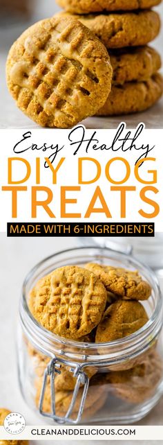 easy healthy diy dog treats made with ingredients that are gluing and delicious