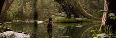 a woman standing in the middle of a forest next to a pond with trees and rocks