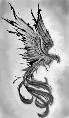 a black and white drawing of a bird with long hair on it's wings