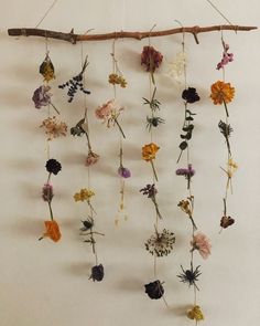 dried flowers hang from a branch on a wall