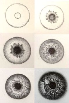 four different types of eyes are shown in black and white, including one with an eyeball