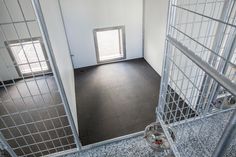 an empty jail cell with two windows and bars on the door, in front of a black carpeted floor