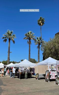 several tents set up with palm trees in the background and people walking around them under clear blue skies