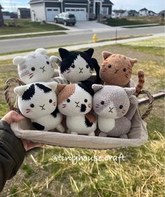 a person holding a basket filled with stuffed animals