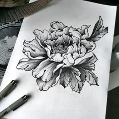 a drawing of a flower on paper next to some pens and inking pens