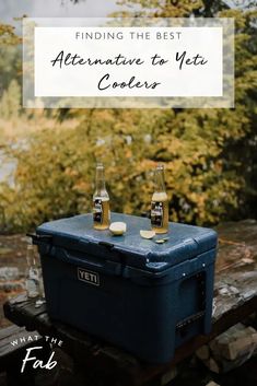 two coolers sitting on top of a wooden table with beer bottles in them and the words finding the best alternative to yet coolers