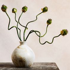 a white vase filled with green flowers on top of a wooden table next to a wall