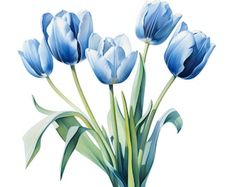 blue tulips in a vase on a white background