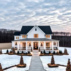 a white house with christmas trees in the front yard