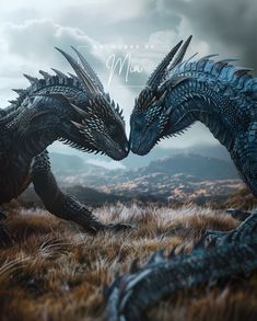 🎨: artworks_by_mia Fourth Wing Dragon Tairn, Tairn Fourth Wing, Fourth Wing Dragons, Sculpting Materials, Game Of Thrones Dragons, Rp Ideas, Beautiful Dragon, Dragon Wings