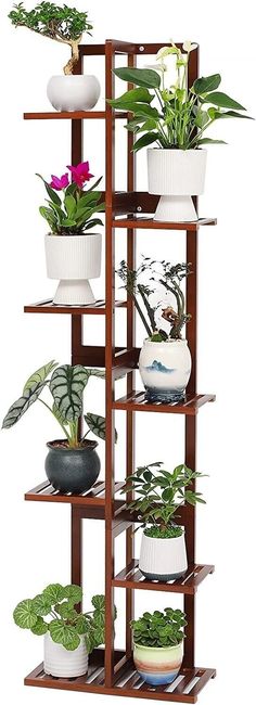 a wooden shelf filled with potted plants on top of it's sides and bottom shelves