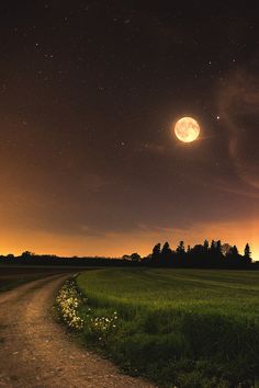 the moon shines brightly in the night sky above a grassy field with trees on either side