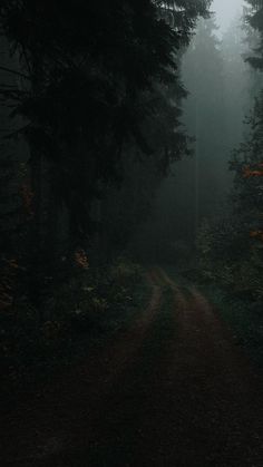 a dirt road in the middle of a forest with trees on both sides and foggy skies above